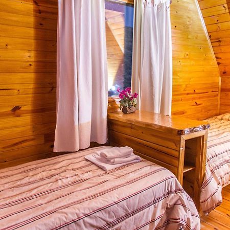 Brillos Patagonicos El Calafate Bagian luar foto